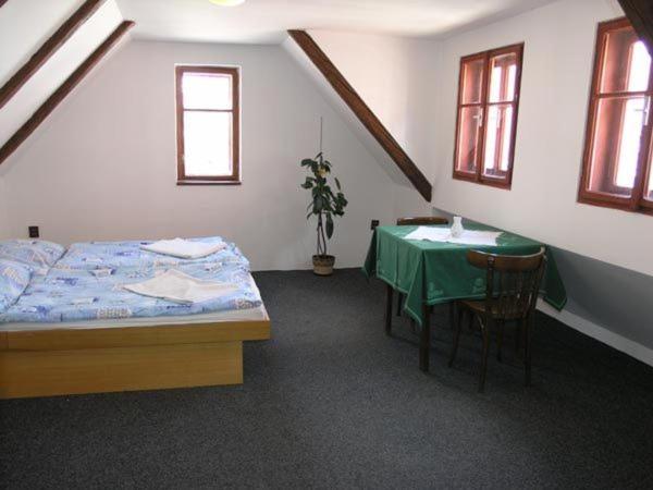 Penzion Novopacke Sklepy Nová Paka 部屋 写真
