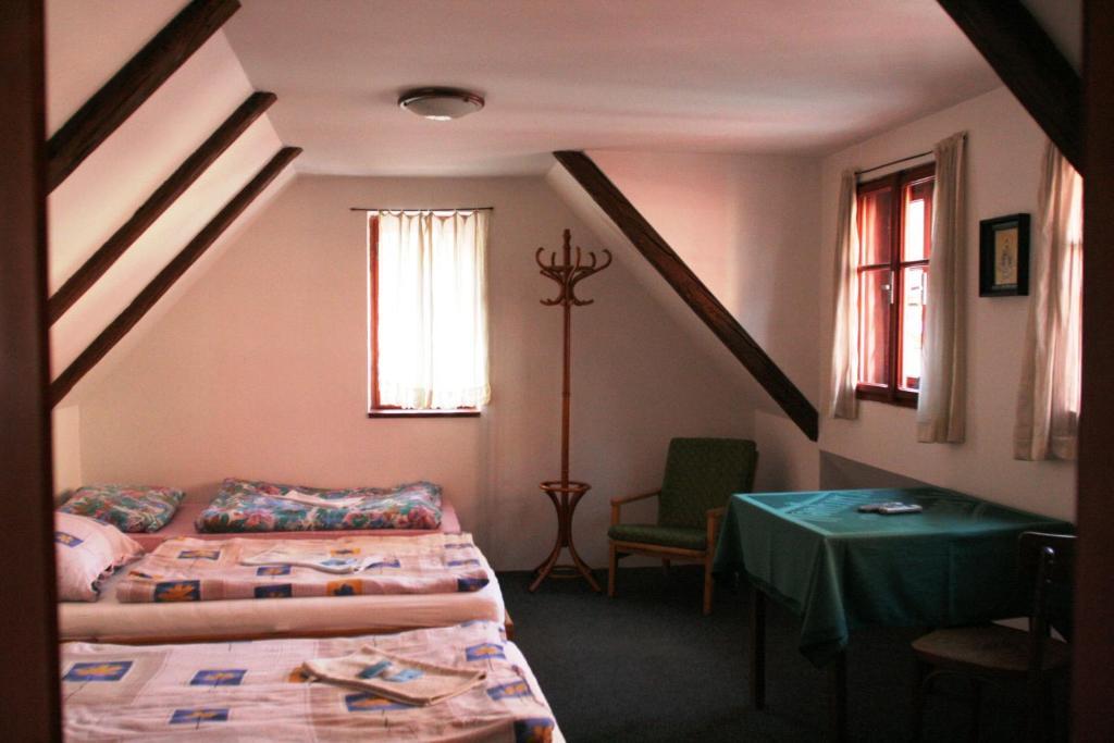 Penzion Novopacke Sklepy Nová Paka 部屋 写真