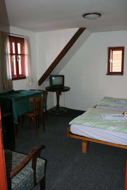Penzion Novopacke Sklepy Nová Paka 部屋 写真