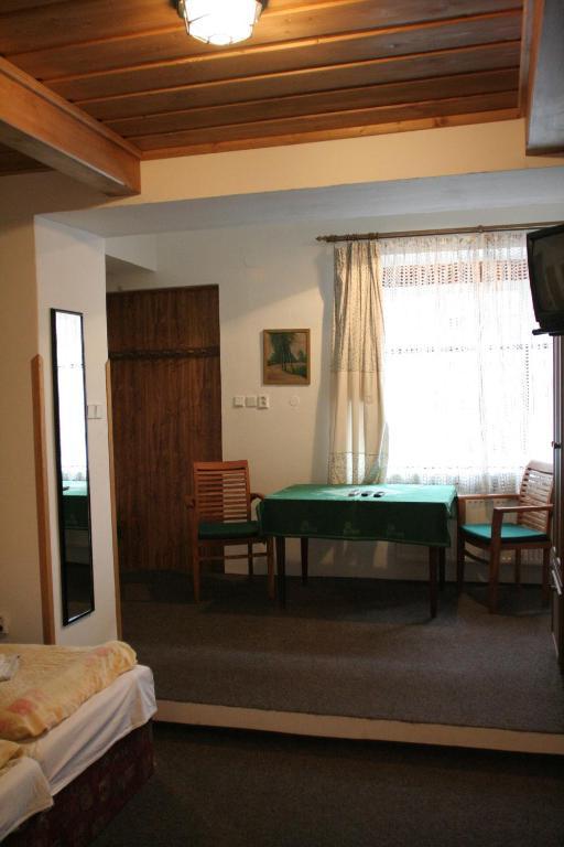 Penzion Novopacke Sklepy Nová Paka 部屋 写真